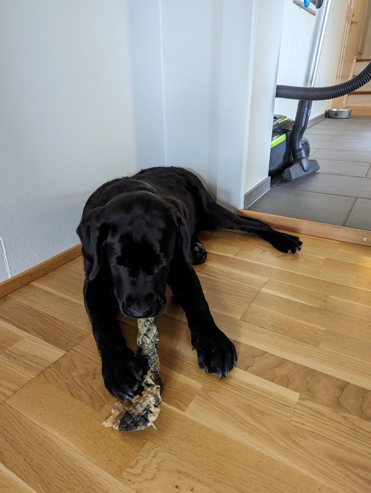 Steinbítsfléttur 200gr