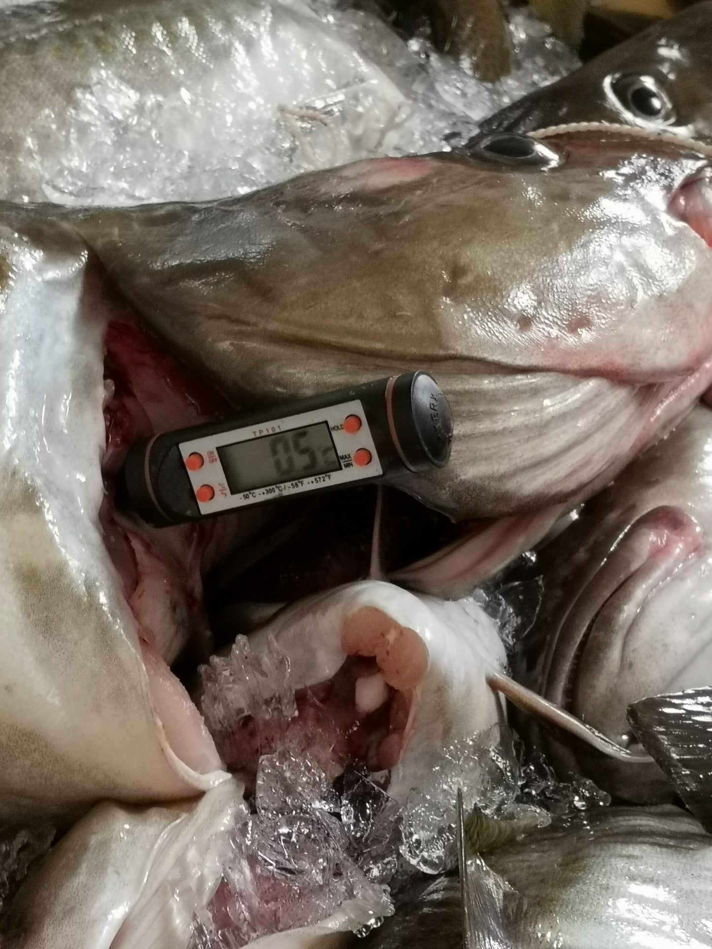 Þorskbitar 100gr